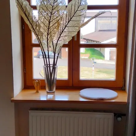 Apartments Angela Wiesau Extérieur photo